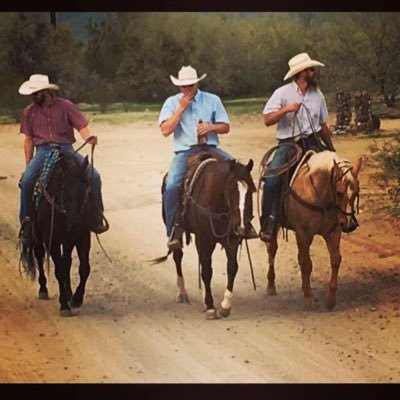 Profile Picture of Trent Petersen (@TrentPeterskin) on Twitter