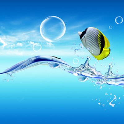 Profile Picture of Nicolo Tristan James (@JamesNicolo) on Twitter