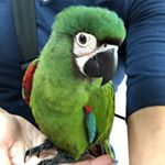 Profile Picture of Jerry (@jerry_the_severe) on Instagram