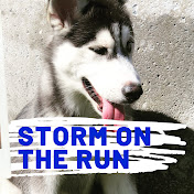 Profile Picture of Storm Williams (@stormwilliams6873) on Youtube