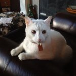 Profile Picture of Joseph Ostendorf (@jcoslp) on Instagram