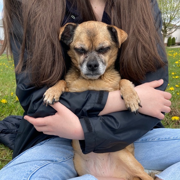 Gracie White - Poshmark Profile Picture of Gracie White (@graciewihte) on Poshmark