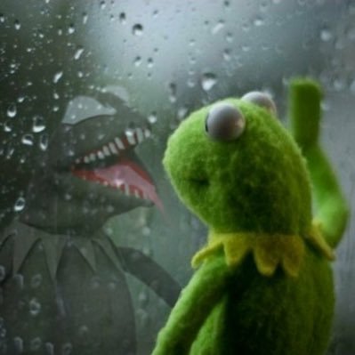 Profile Picture of Kermit The Peds ID PFizer (@PedsID4Life) on Twitter