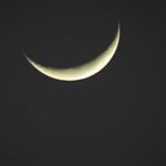 Profile Picture of maramataka maori moon living (@maori_moon) on Instagram