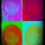 Profile Picture of _alishaswift_ (@_alishaswift_) on Instagram
