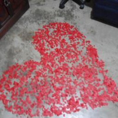 Profile Picture of Cindy Farfan Vides (@FarfanCindy) on Twitter