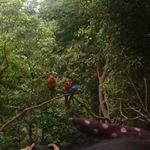 Profile Picture of ▪ᴄʜʀɪsᴛᴏpʜᴇʀ ᴠᴇʟéᴢ ▪🐼 (@daniela.benav) on Instagram