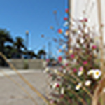 Profile Picture of annie.k.field (@annie.k.field) on Flickr