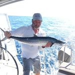 Profile Picture of Tony Plunkett (@saltysailortony) on Instagram
