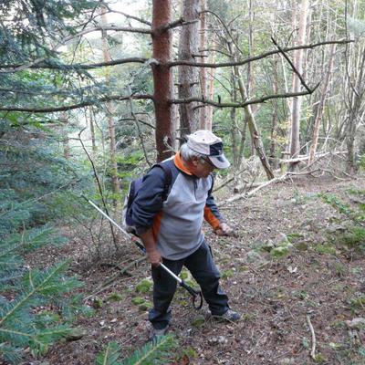 Profile Picture of Lambert Gilbert (@Lambert5Gilbert) on Twitter