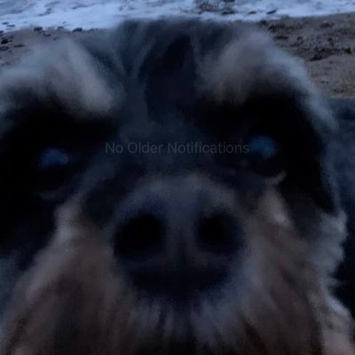 Profile Picture of Tom Coultas (@coultas_tom) on Twitter