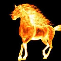 Dan Kerbs - Twitter Profile Picture of Dan Kerbs (@KerbsIvana) on Twitter