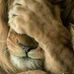 Profile Picture of Jose Lazcano (@jose.lazcano.58152) on Facebook
