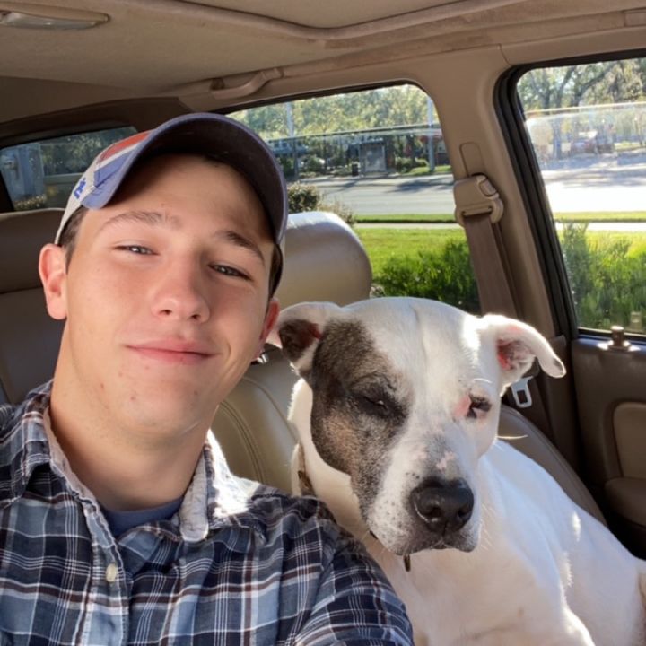 Profile Picture of Andrew Hamm (@andrewhamm5) on Tiktok