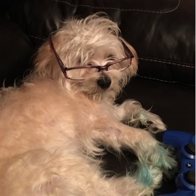 Miladys Rodriguez - Twitter Profile Picture of Miladys Rodriguez (@RoyAlex01) on Twitter