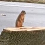 Profile Picture of Sean H (@seanharbinger12344) on Instagram