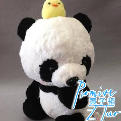 Profile Picture of Z.PEPPER (@Pepper_tao) on Twitter
