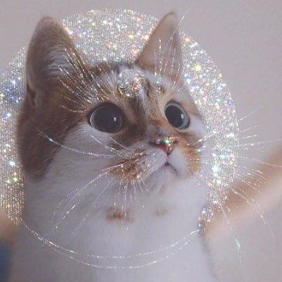 Profile Picture of Chee Su Ann (@c_su_ann) on Twitter