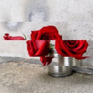 Profile Picture of Daniel Darcy (@bnwphotos3) on Instagram