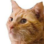 Profile Picture of Selling tons of cheap clothes! (@clothes.for.college) on Instagram