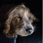 Profile Picture of Julia Crosswell (@julzcroz) on Instagram