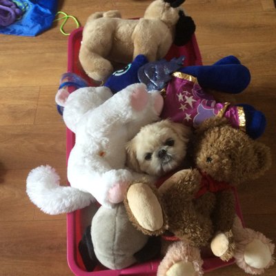 Profile Picture of Jackie (@AlphaHollie) on Twitter