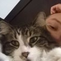 Zachary Horne - Quora Profile Picture of Zachary Horne (@zachary-horne) on Quora