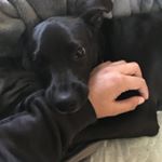 Profile Picture of Michael Filomeno (@michael_filomeno_) on Instagram