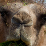 Profile Picture of Tomi T?hti (@Tomi T?hti) on Flickr