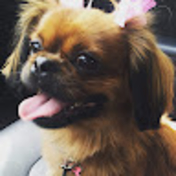 Profile Picture of Jennifer Matuszewski (@jentym) on Poshmark