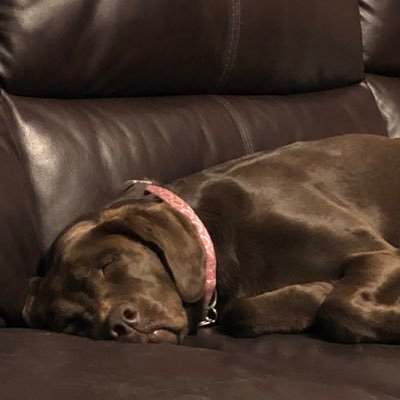 Profile Picture of Jeremy Frary (@FraryJeremy) on Twitter