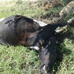 Profile Picture of Osbaldo Martínez (@osbaldo1281) on Instagram