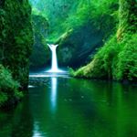 Profile Picture of leocadio flores perez (@leocadiofloresper) on Instagram