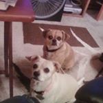 Profile Picture of Marilyn Saunders (@marilyn.saunders.56) on Instagram