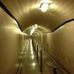 Profile Picture of Travis Horrell (@travis_horrell) on Instagram