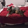 Profile Picture of Carol Mattaliano (@@user618477854) on Tiktok