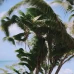 Profile Picture of Bryan Nalugon Felisan (@bryan.nalugon.felisan) on Facebook