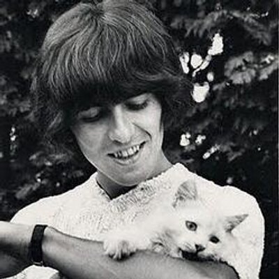 Profile Picture of Fausto B. Castillo (@FaustoBCastillo) on Twitter