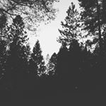 Profile Picture of dustin mace (@unknownartists11) on Instagram