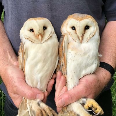 Profile Picture of Jim Lennon (@AlcaTorda17) on Twitter