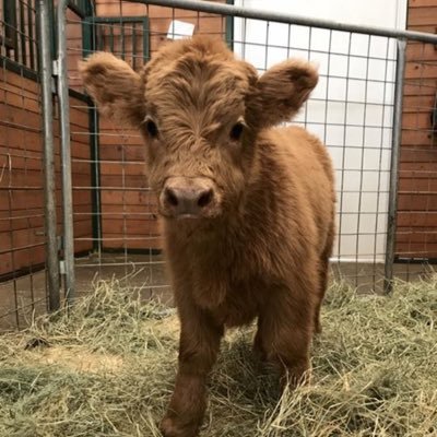 Profile Picture of Laur🌹 (@JaySumpton) on Twitter