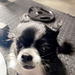 Profile Picture of John Stoetzel (@John-Stoetzel) on Facebook