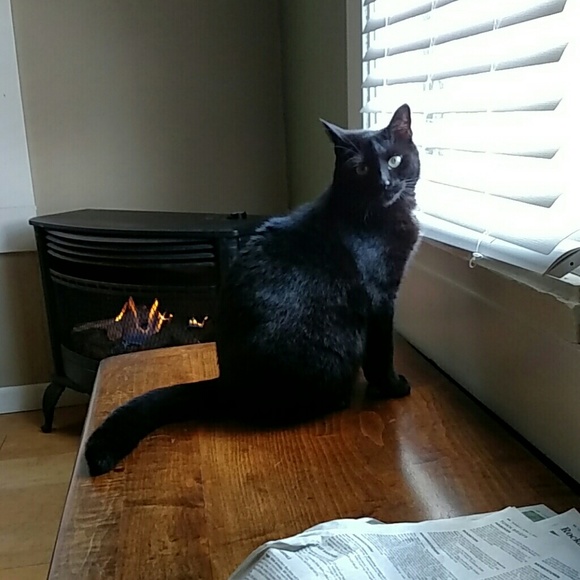 Profile Picture of Paul Frascatore (@pfrasc) on Poshmark