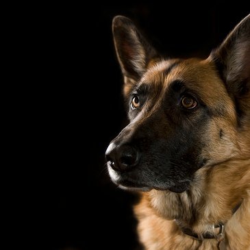 Profile Picture of Jim Hooley Jr (@HooleyJr) on Twitter