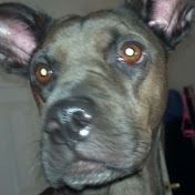 Profile Picture of Michael Sarna (@michaelsarna7608) on Youtube