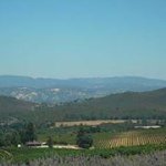 Profile Picture of Roxanne Ling-Martell (@roxanne1878) on Instagram