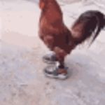 Profile Picture of Pat dyer (@dyer8024) on Instagram