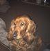 Profile Picture of Ben Shackleton (@ben.shackleton.129) on Facebook