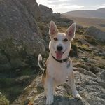 Profile Picture of Barbara Walsh (@barbara_walsh_photography) on Instagram