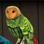 Profile Picture of Pierre Dillon Simoné (@pierre_simone) on Instagram